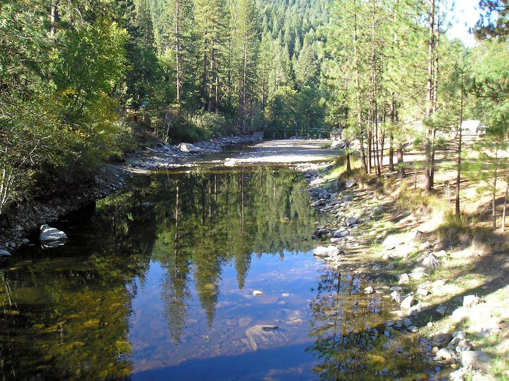 Yosemite Lakes Bunkhouse Cabin 27 Hotel Harden Flat Exterior photo